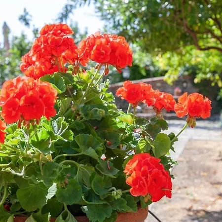 Σπίτι διακοπών Portovecchio *