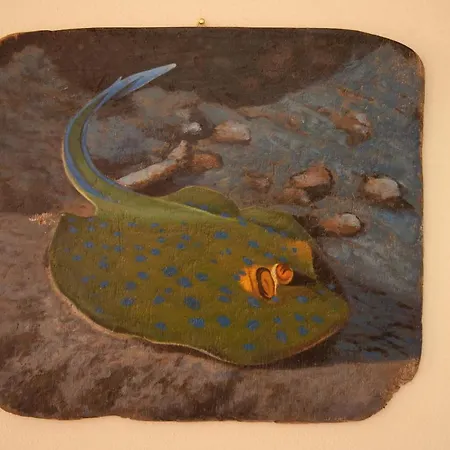 Portovecchio 펜션 레반토