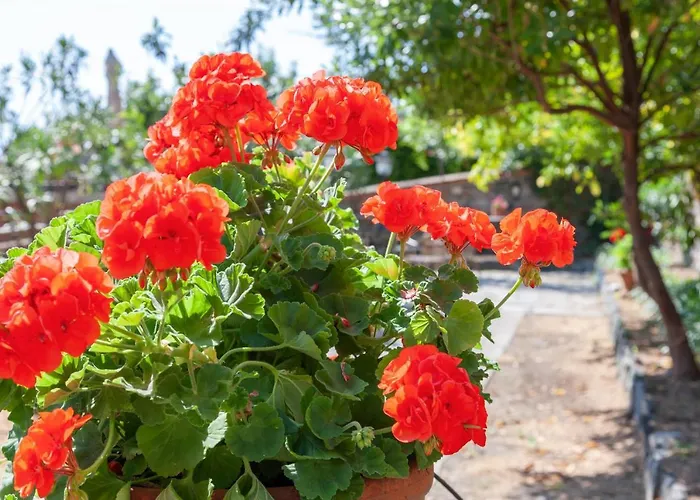 بيت للعطل Portovecchio *